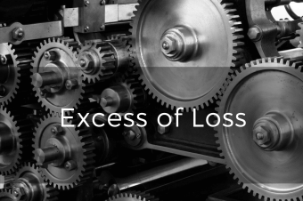 Excess of Loss – ochrona XL dla samodzielnych